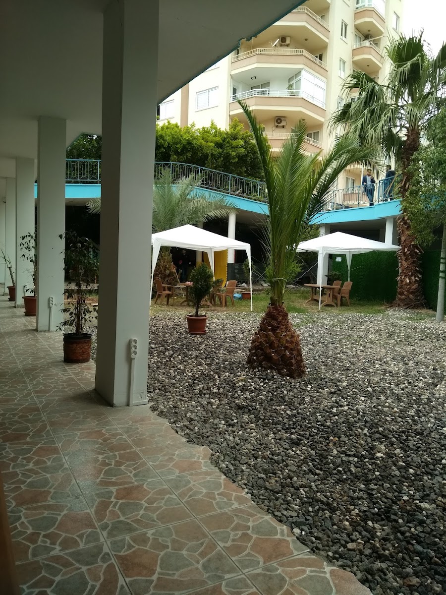 Hidden Paradise Cafe