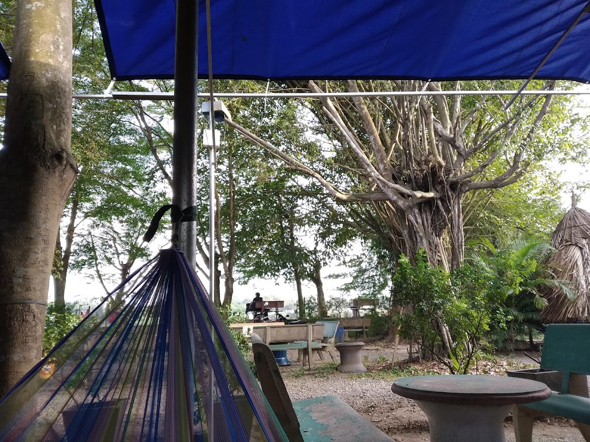 Cafe Hoa Phượng Đỏ