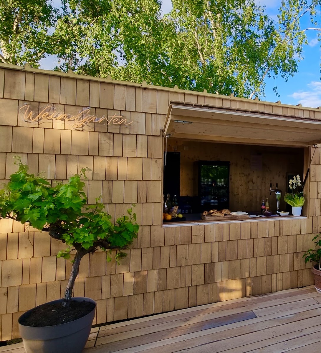 Wein Garten - 2