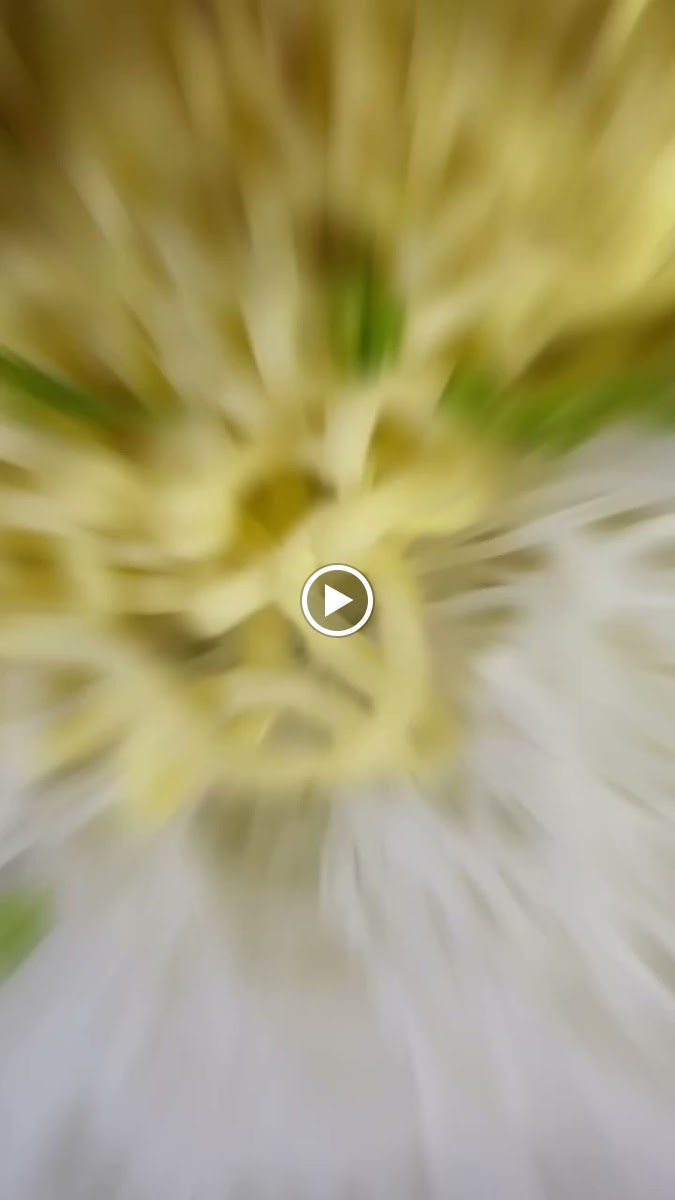 Milenial Cafe BIM - 2