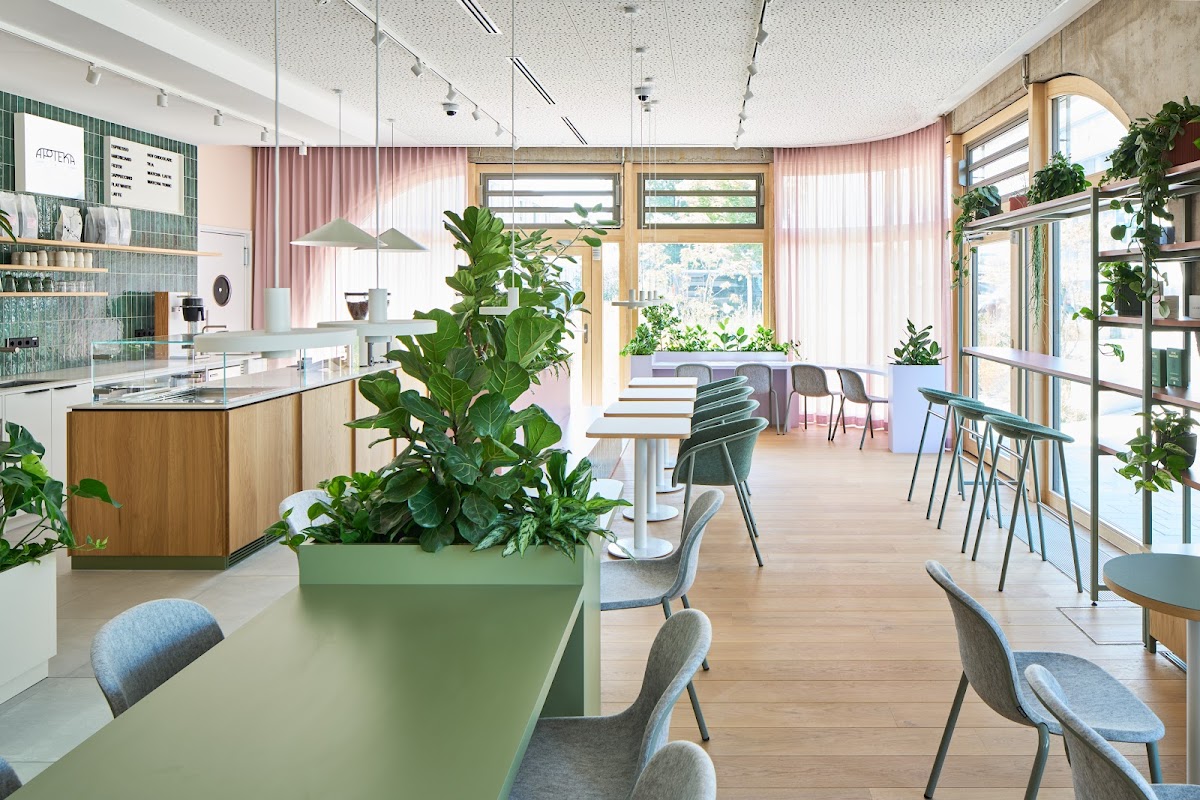 Apoteka - Coffee & Plants