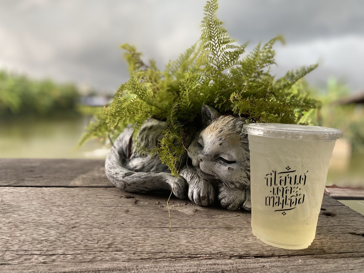 Behind The Temple cafe’ - 8