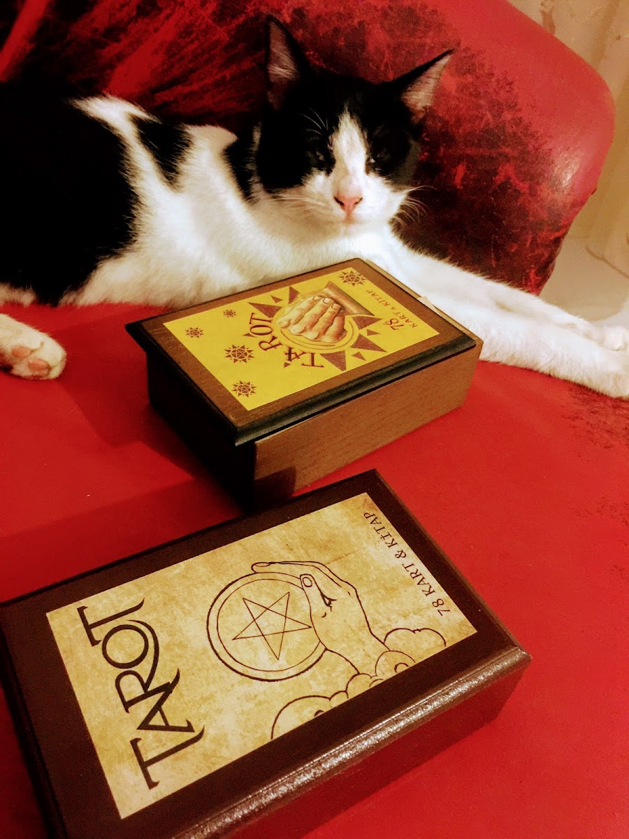 Katina fal cafe Antalya - 3