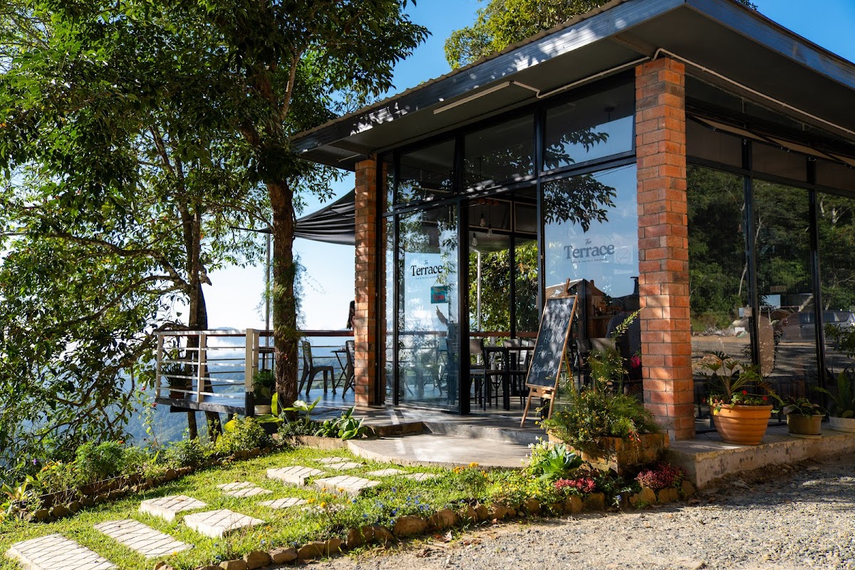 The Terrace Kinabalu - 8