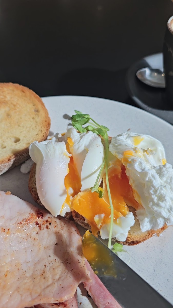 Jamaica Blue Rockingham City - 2