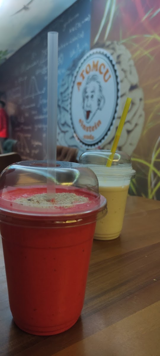 Atomcu Einstein Osmaniye - 5