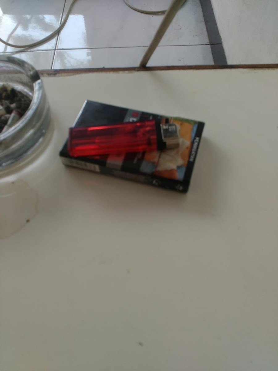 Kopi & Lalapan Budi Jaya - 5