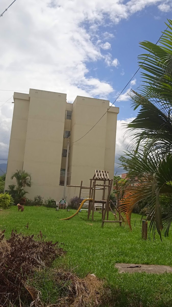 Samanes De Uninorte De Gualajara De Buga