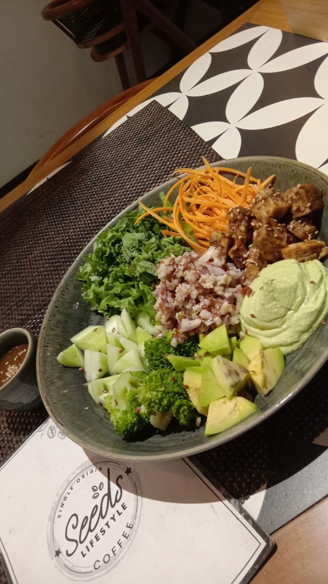 Seeds Lifestyle - Cafe & Restaurant - 10