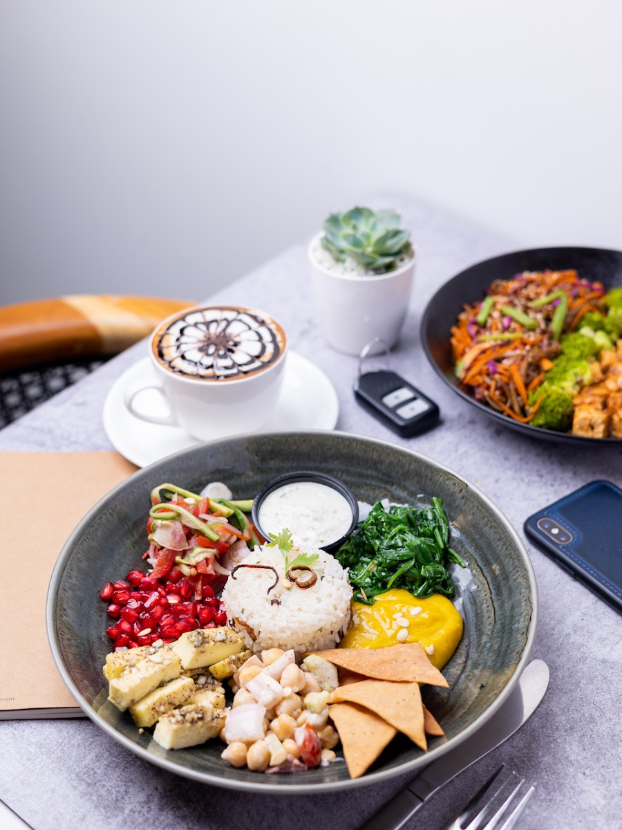 Seeds Lifestyle - Cafe & Restaurant - 4