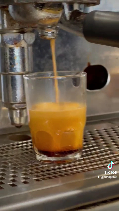 cafe salon de the GREEN VILLA - 2