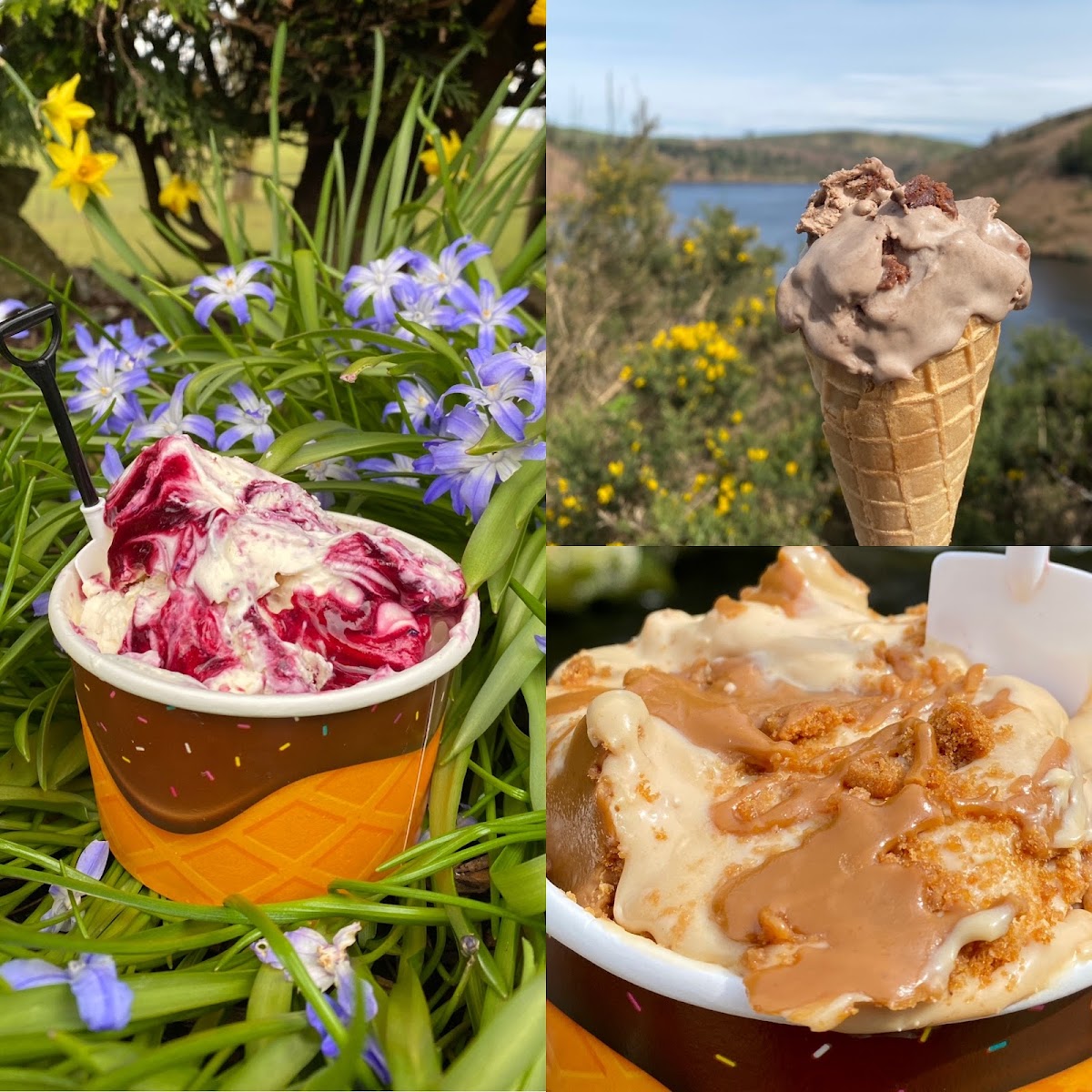 Caffi Clywedog - 8