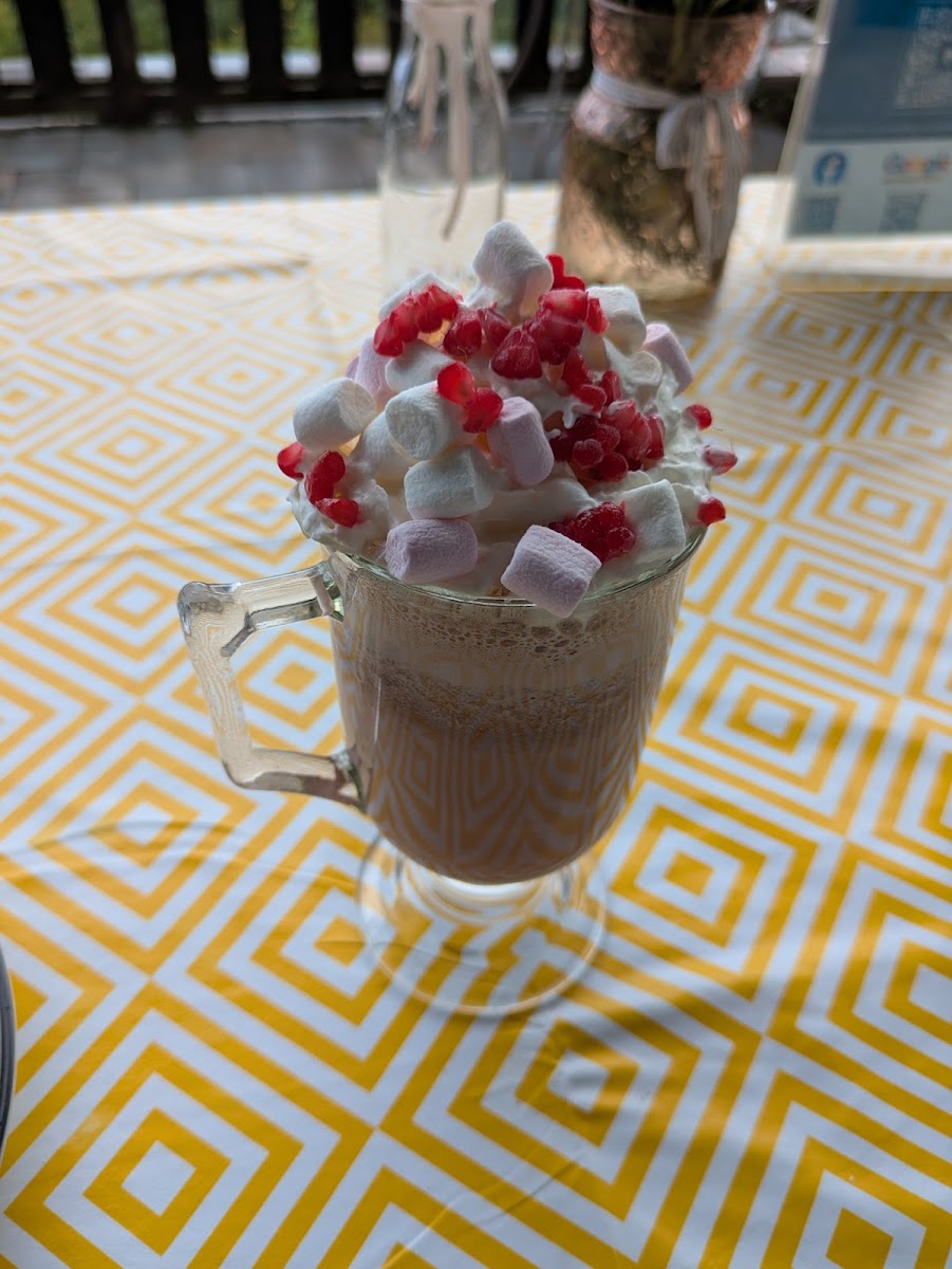 Caffi Clywedog - 9