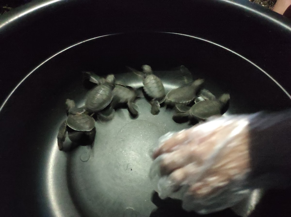 Moknik ke Cendor - 10