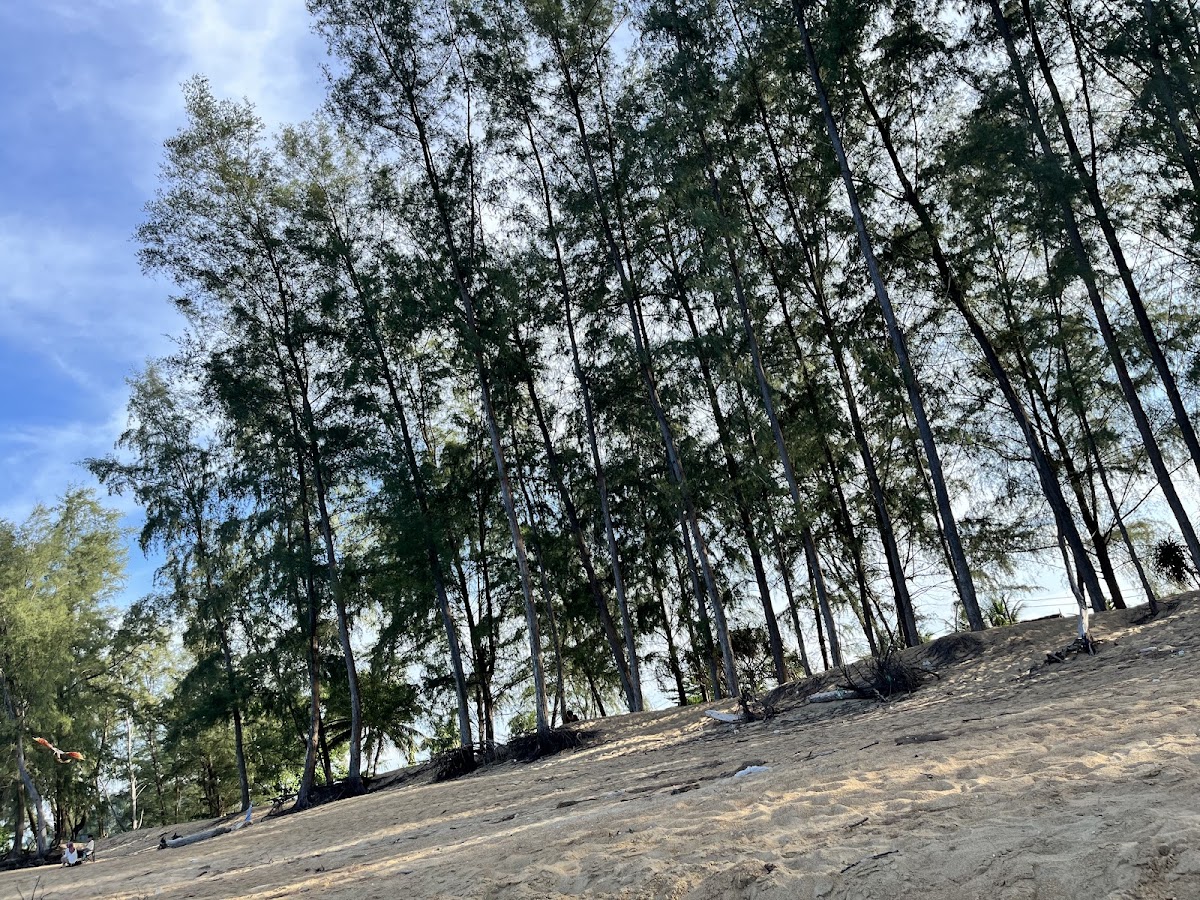 Moknik ke Cendor - 3