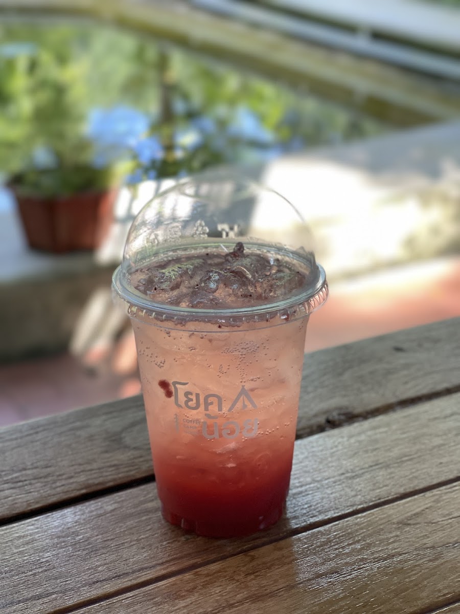 Yok Noi Coffee Camp - 9