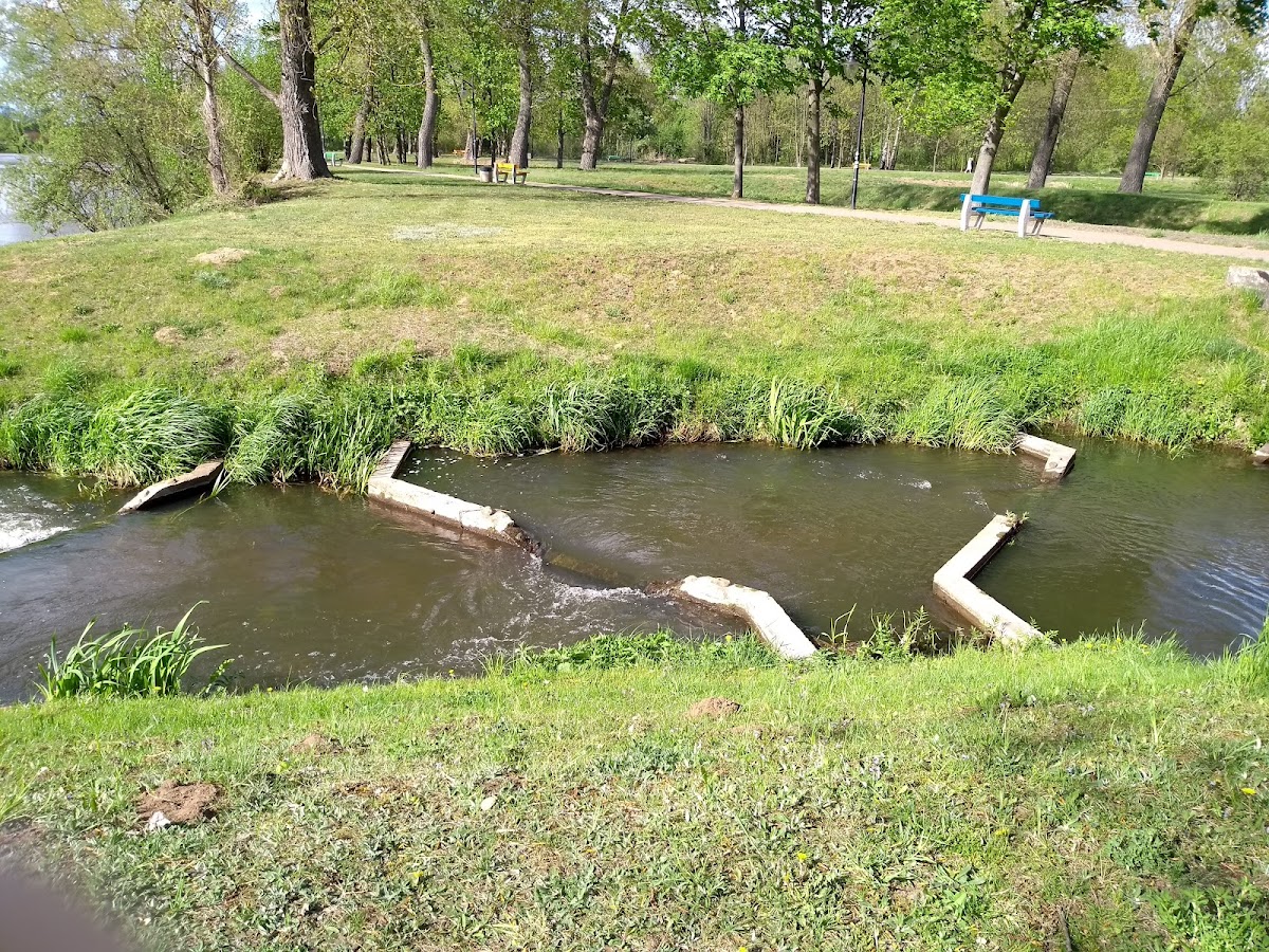 Kawiarnia nad Liwcem. Restauracja - 4