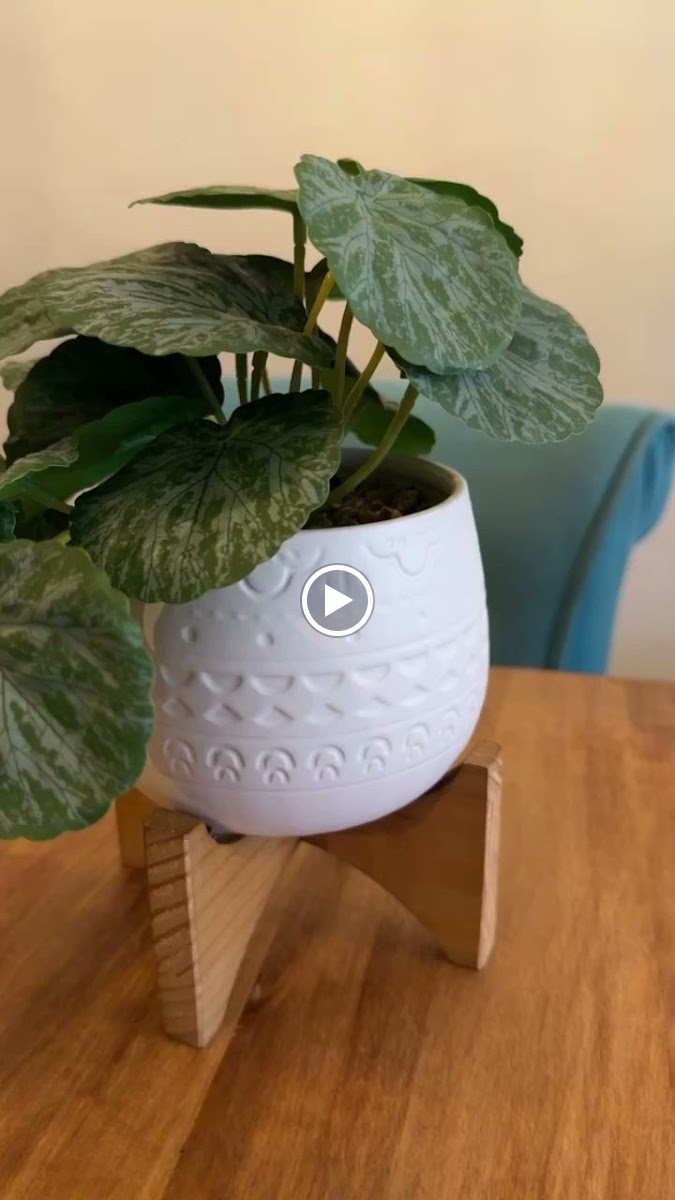 Cafetería Handmade - 2