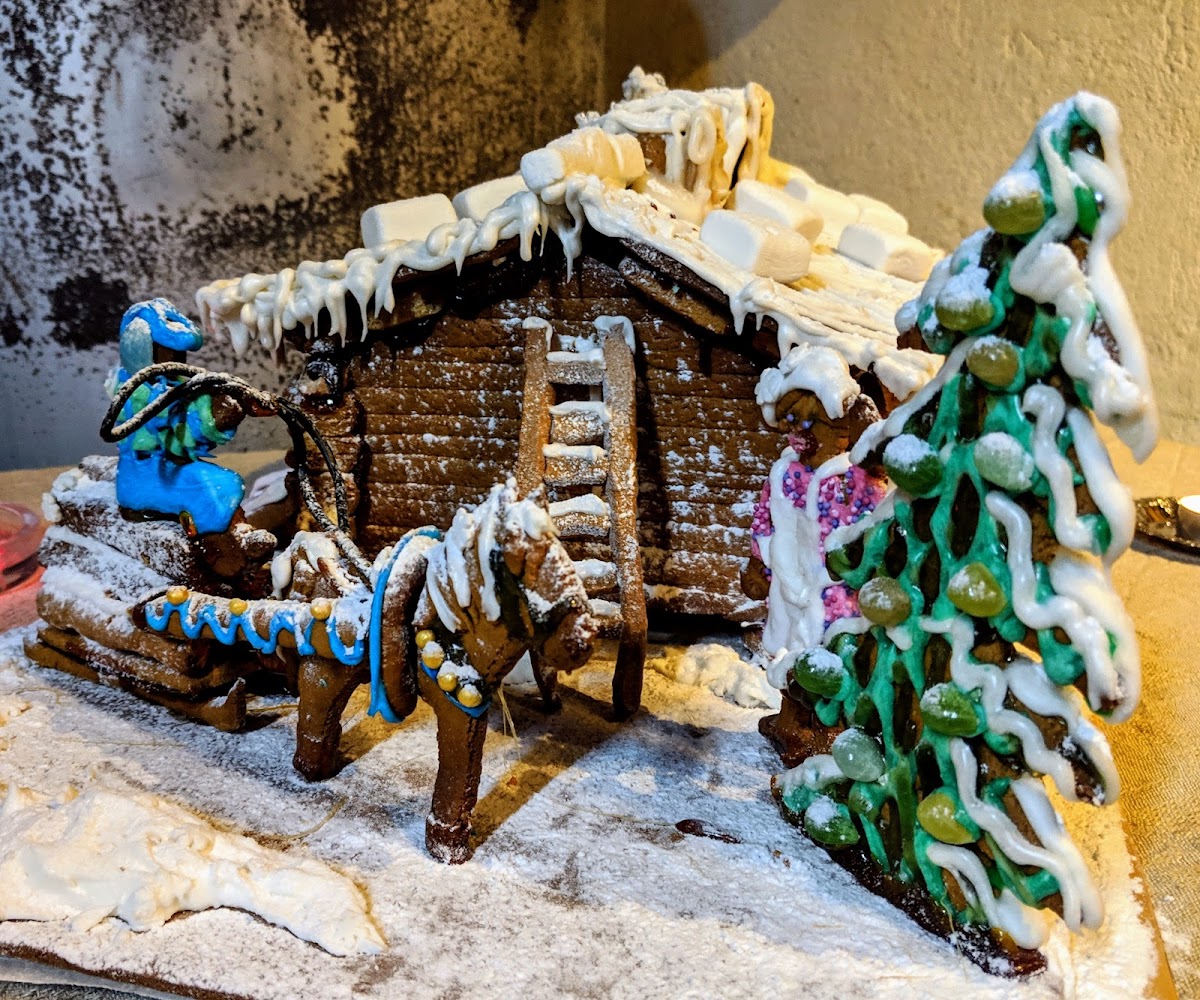 Elamanluukku Yllas - 5