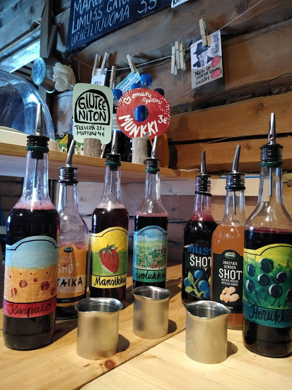 Elamanluukku Yllas - 7