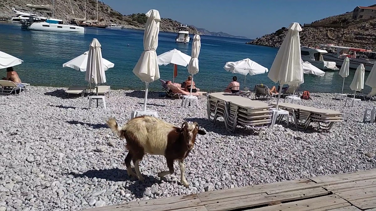 To Kyma Coffee & More - 2