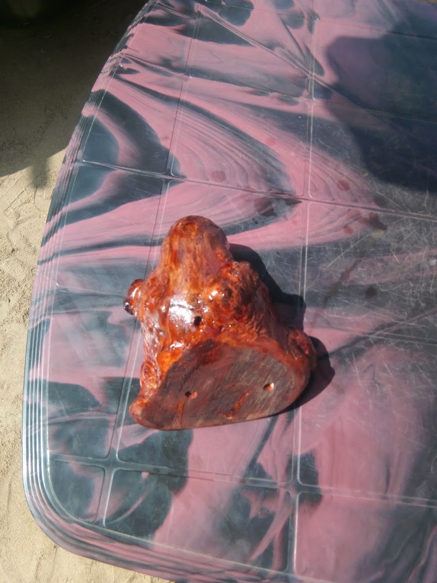 Shravya coffee Cafe Arasunagara - 10