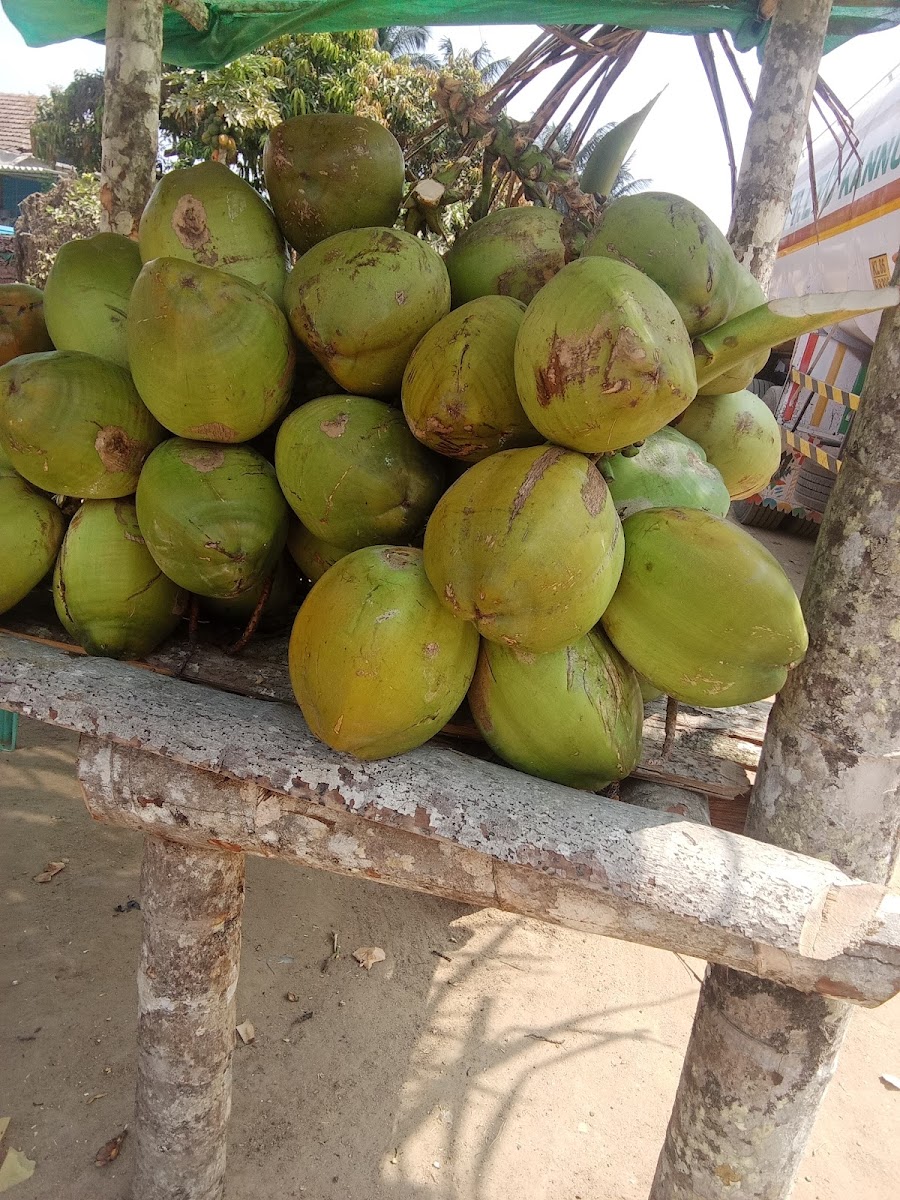 Shravya coffee Cafe Arasunagara - 6