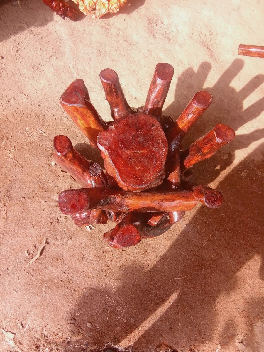 Shravya coffee Cafe Arasunagara - 9