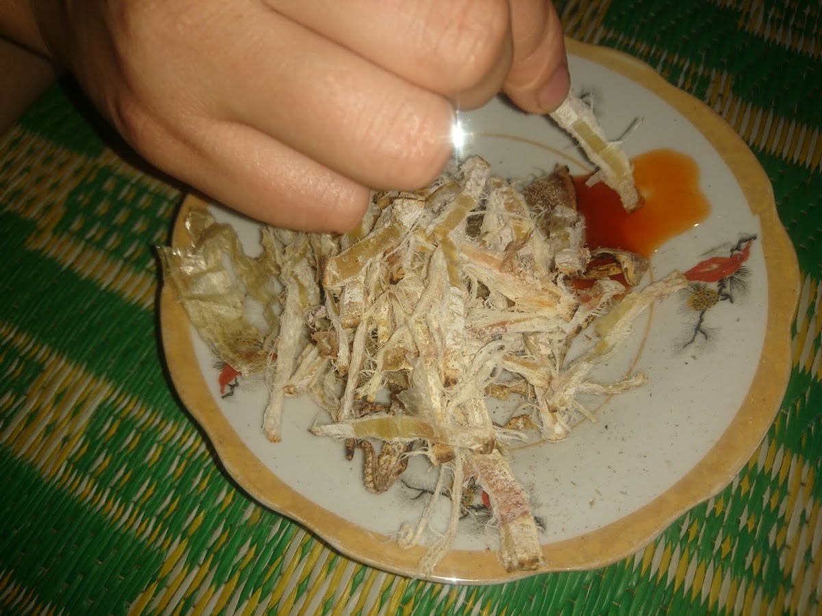 Karaoke - Cafe Hà Linh - 6