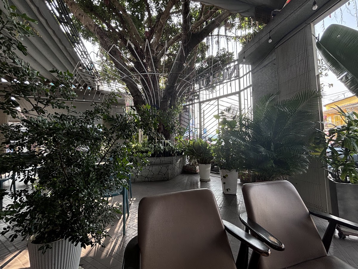 NGÓI GARDEN COFFEE - 4