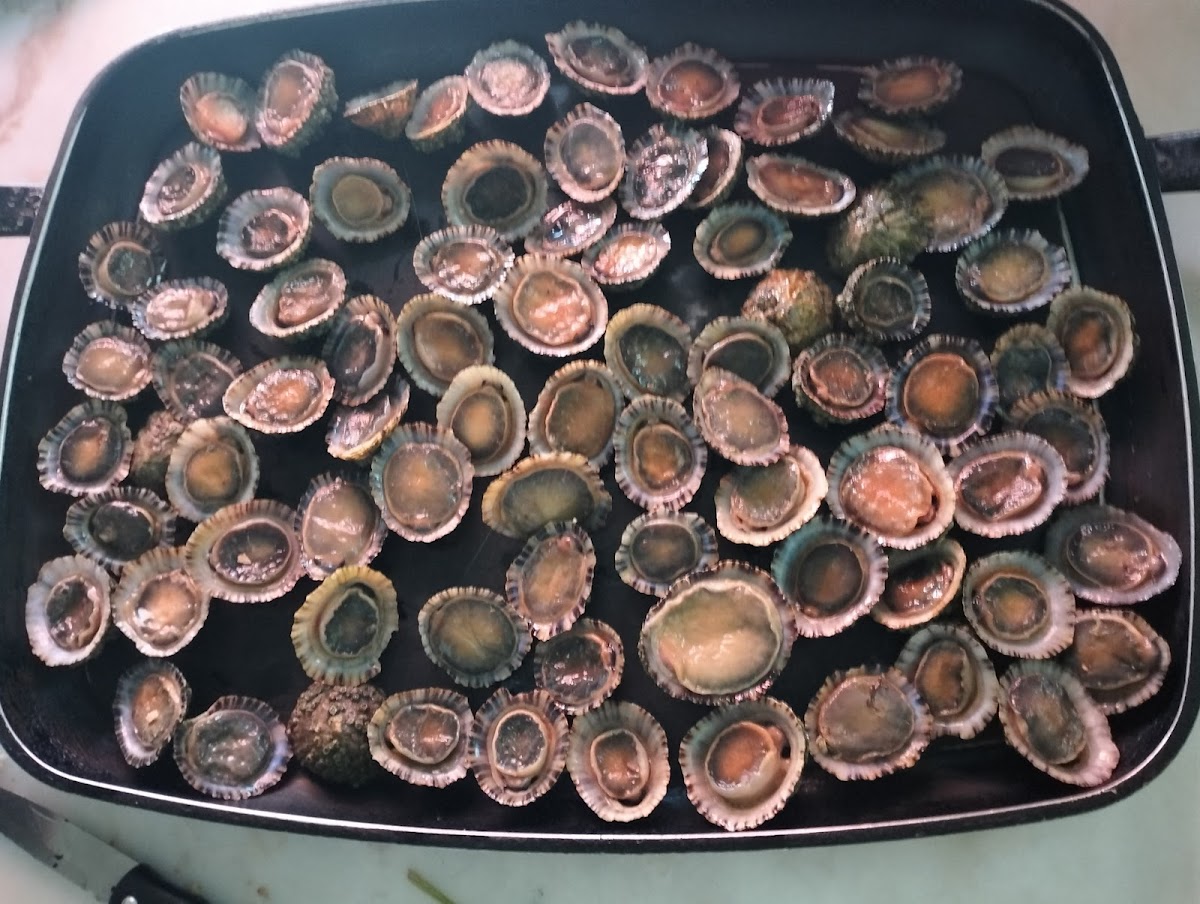 Coffee Mantorras - 7