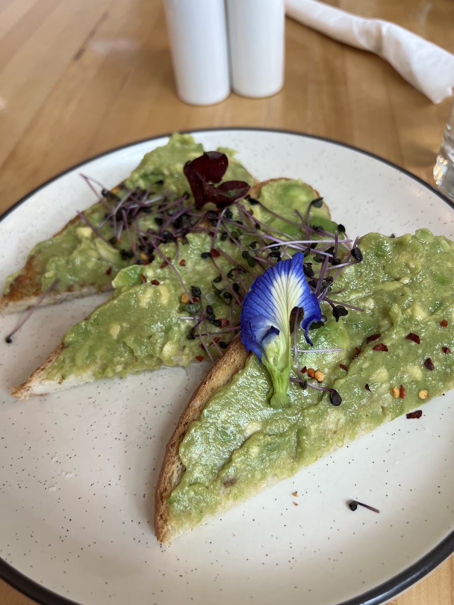 Water & the Elephant - 6