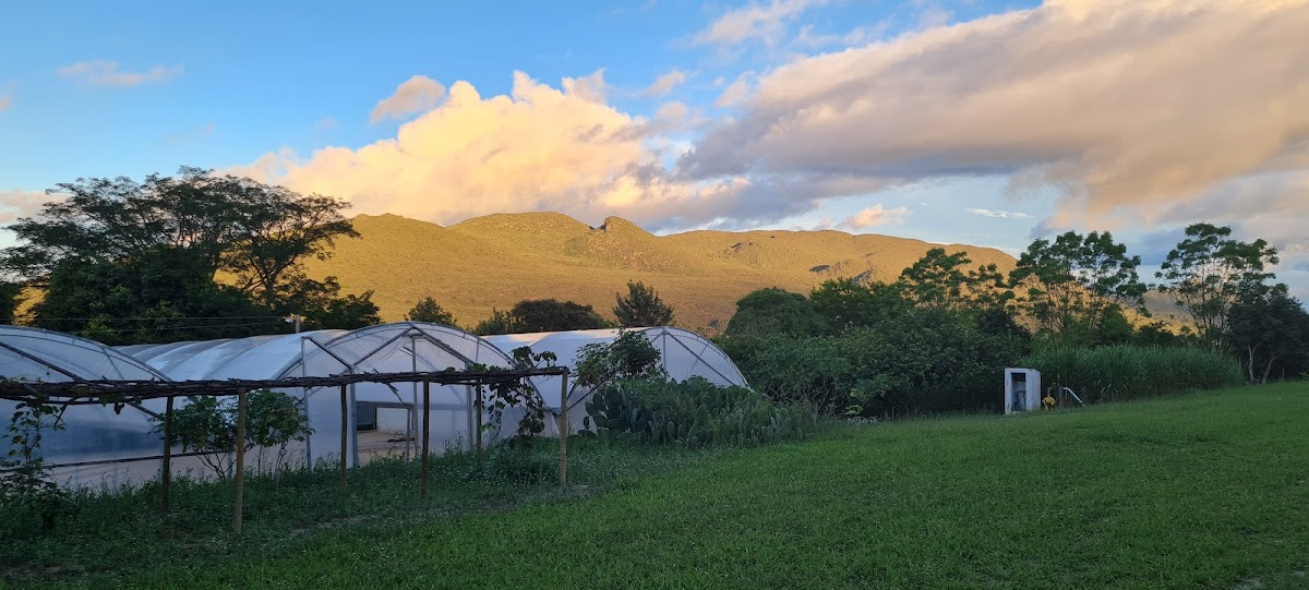 Recanto do Cafe Rigno - 4