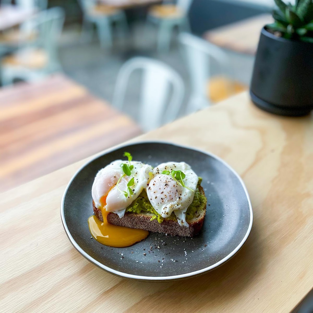 Astor Terrace Cafe - 8