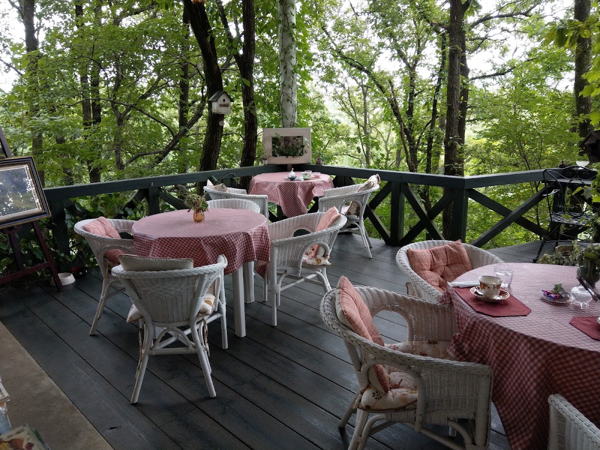 Cafe Garally MIDORI-no-KOBAKO