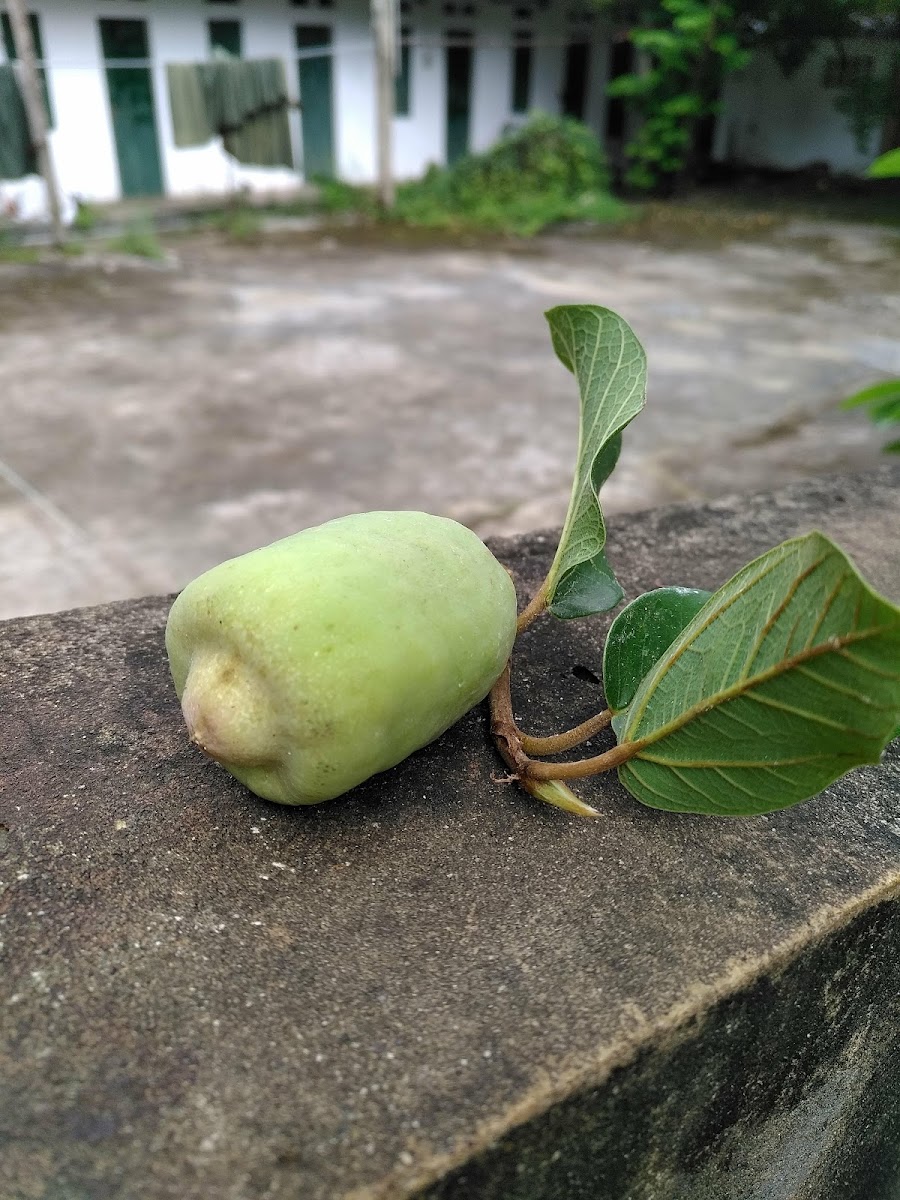 Cà phê Bạn Hữu