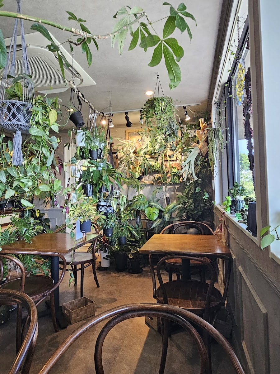 BOTANICAL DELI NAGIITA - 3