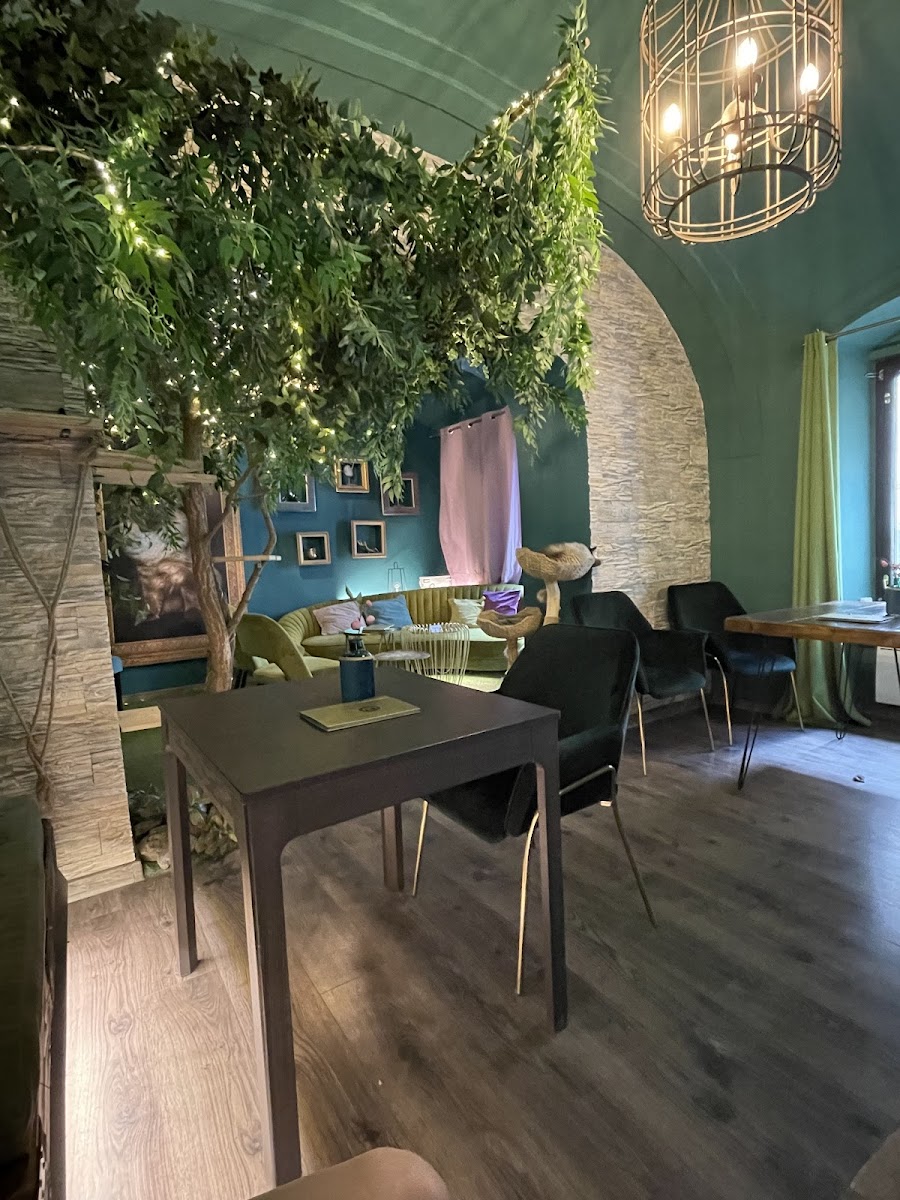 Mačacia Kaviareň Banská Bystrica