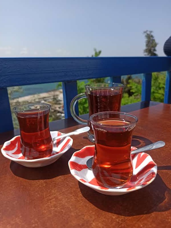 Family Tea Garden Mansion - 9