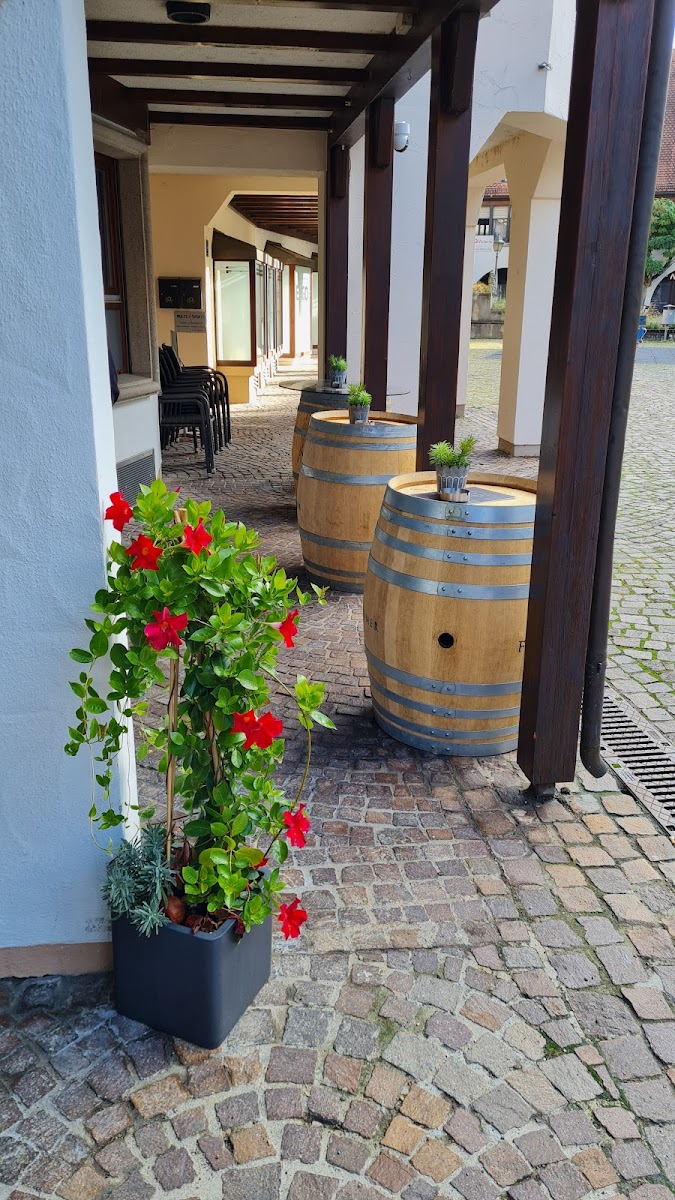 Carpe Diem Café Bar - 4