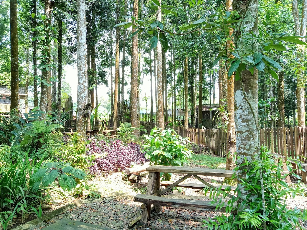 Saung Kopi Bah Dusyie - 4