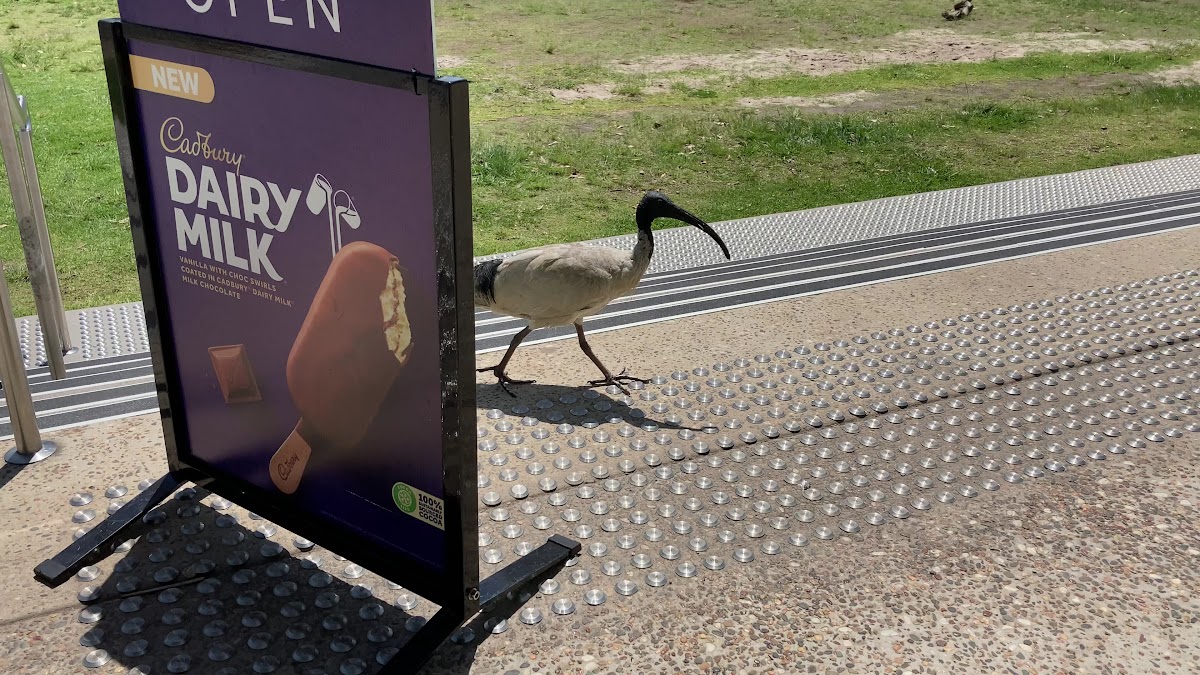 Kellerman's Cafe - 2