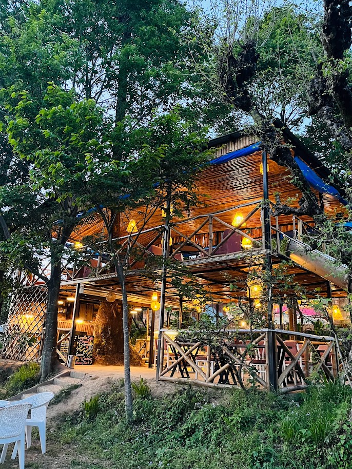 Lavazza Tree House Cafe by Little Bir - 3