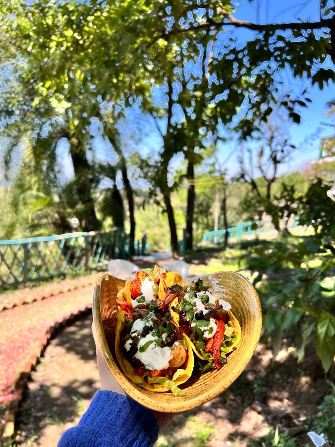 Lavazza Tree House Cafe by Little Bir - 7