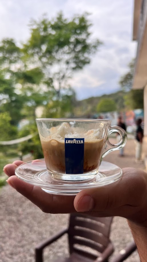 Lavazza Tree House Cafe by Little Bir - 9