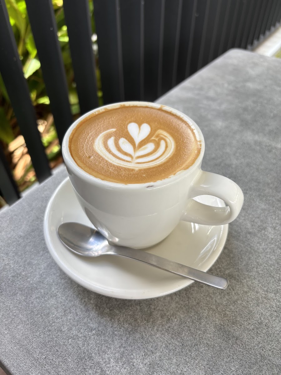 Seeds and Soul Coffee - 6