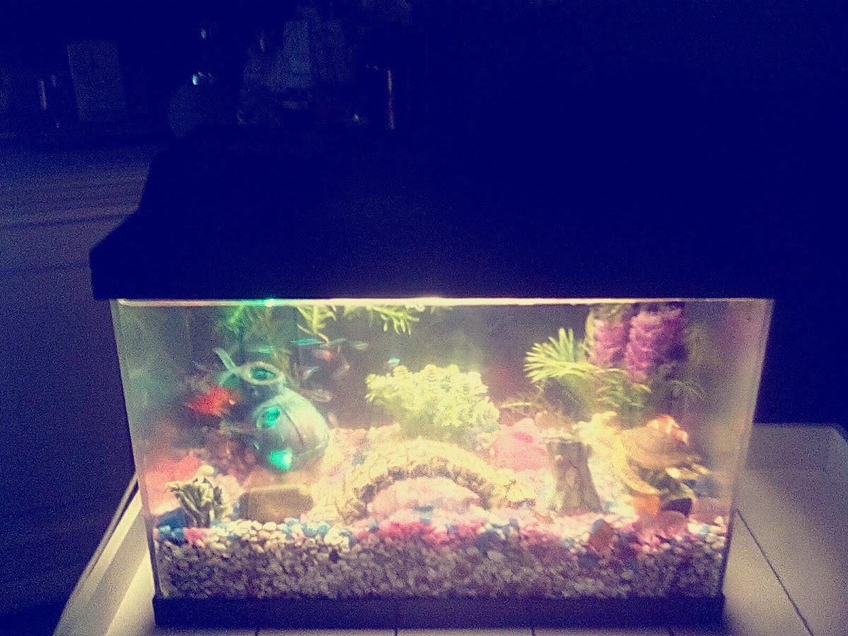 Hervormd Kerkelijk Centrum 'De Zaaier' - 7