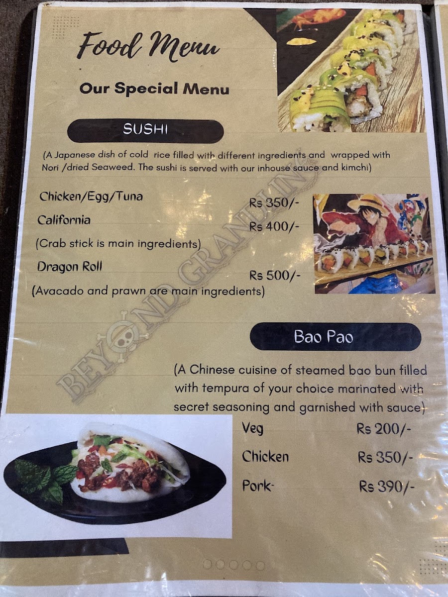 Beyond grandline - 5