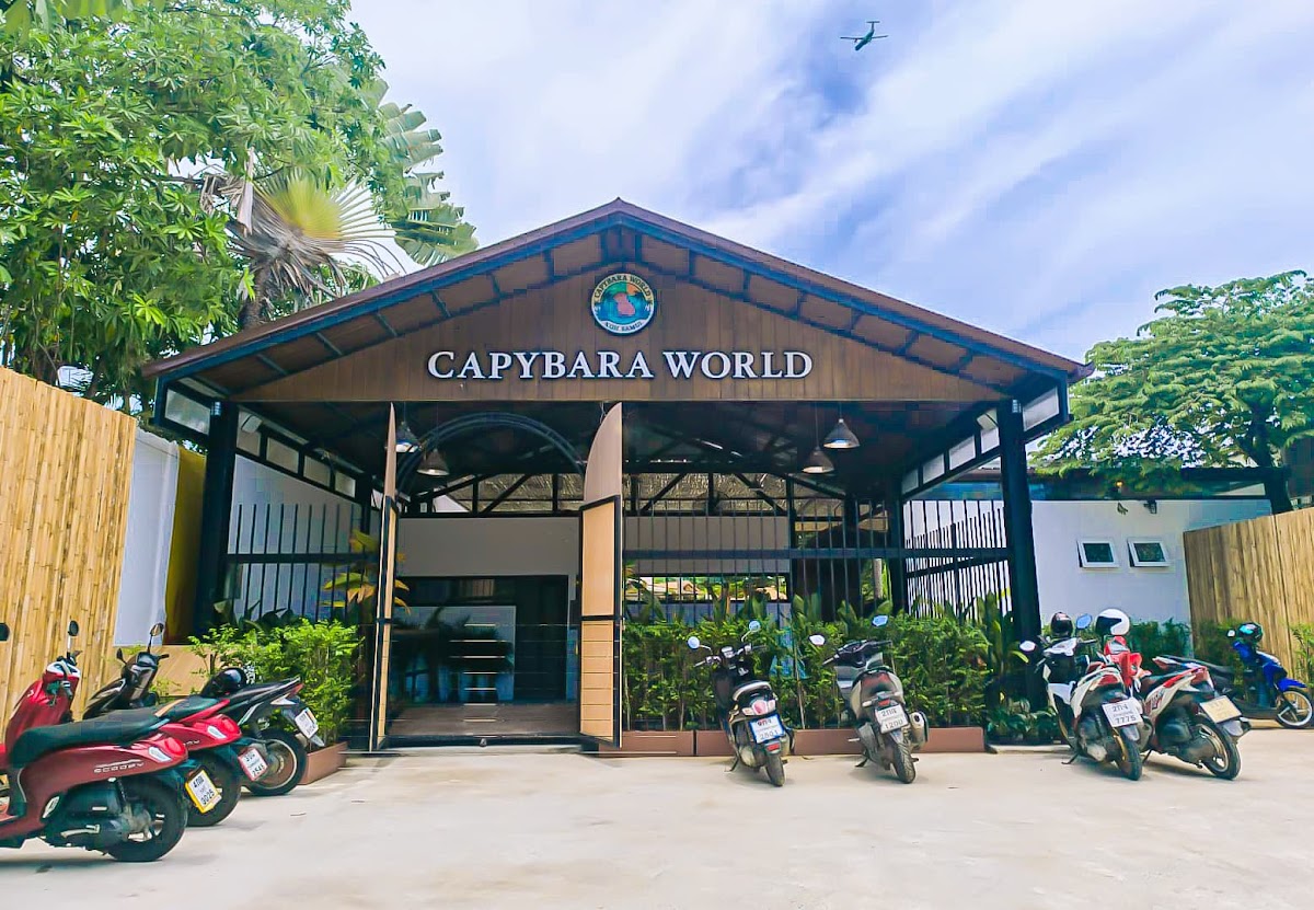 Capybara World Koh Samui