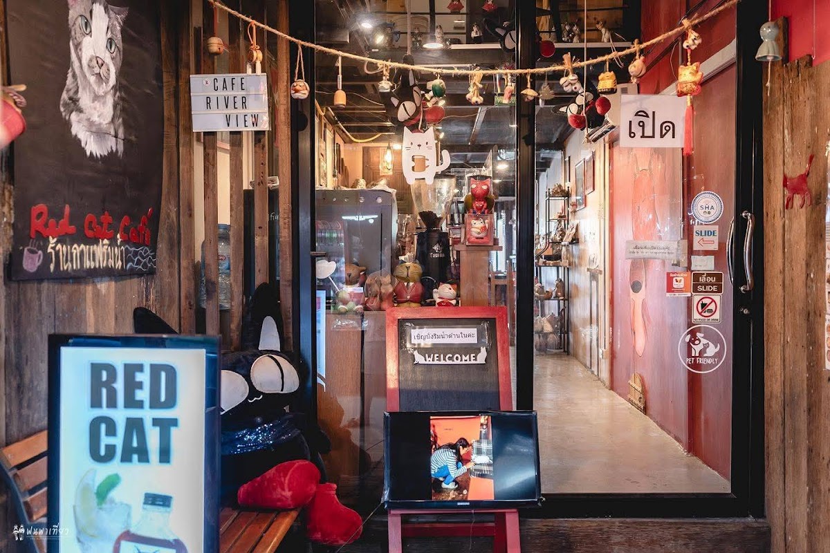 Red Cat Cafe